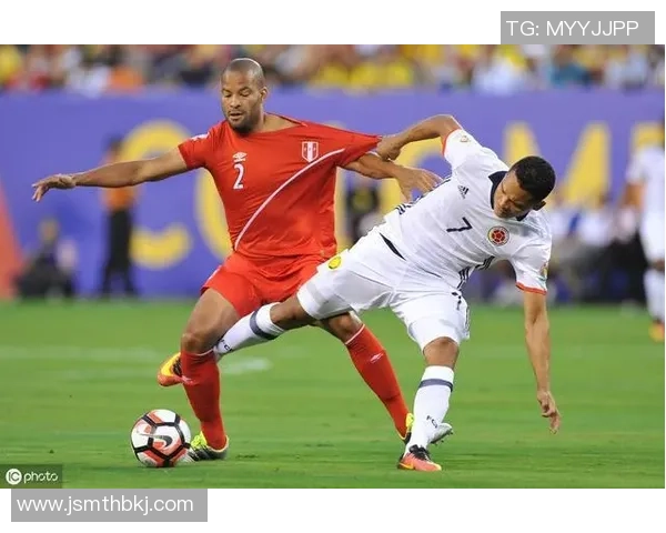 新西兰与秘鲁精彩对决视频直播全程回顾与分析